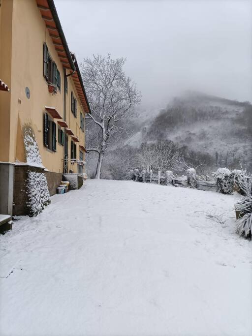 Welcome In Toscana Polcanto Εξωτερικό φωτογραφία